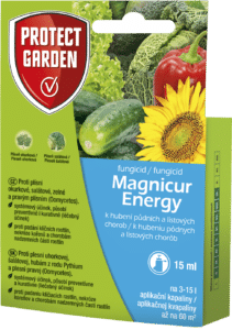 Magnicur Energy